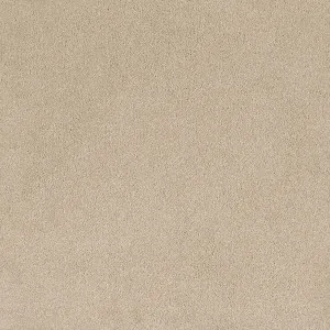 Comfort Touch - Humble 9142 by EC Carpets, a Twist for sale on Style Sourcebook