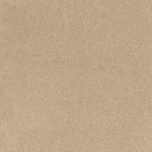 Comfort Touch - Zen 9137 by EC Carpets, a Twist for sale on Style Sourcebook