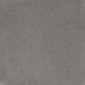 Comfort Touch - Quiet 9123 by EC Carpets, a Twist for sale on Style Sourcebook