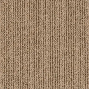 Dawson Falls - Sunlit 5454 by EC Carpets, a Loop for sale on Style Sourcebook