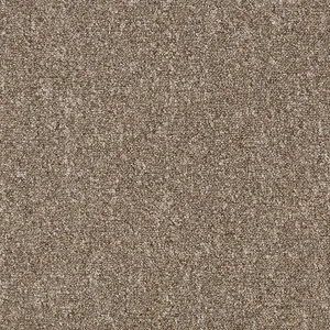 Encounter - 7585 Spice by EC Carpets, a Loop for sale on Style Sourcebook
