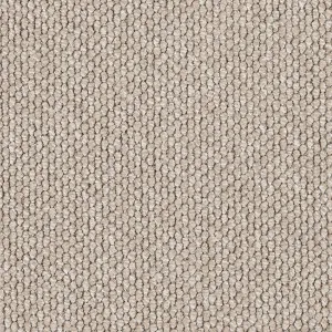 Flinders Gorge - Olary 3433 by EC Carpets, a Loop for sale on Style Sourcebook