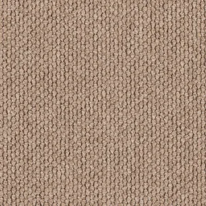 Flinders Gorge - Havelock 3451 by EC Carpets, a Loop for sale on Style Sourcebook