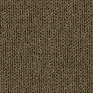 Flinders Gorge - Tanderra 3458 by EC Carpets, a Loop for sale on Style Sourcebook
