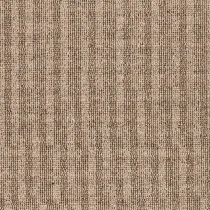 Hause - Fifty Four 5054 by EC Carpets, a Loop for sale on Style Sourcebook