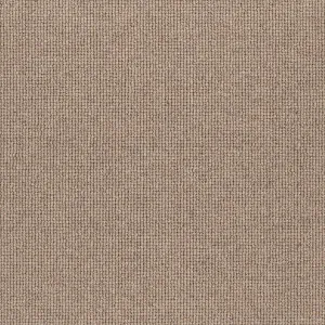 Hause - Forty Seven 5047 by EC Carpets, a Loop for sale on Style Sourcebook
