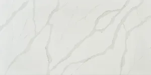 Albastera - 20mm, Silica Free by SilkSurface, a Solid Surfaces for sale on Style Sourcebook
