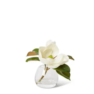 Magnolia Classic - 23 x 23 x 25cm by Elme Living, a Plants for sale on Style Sourcebook