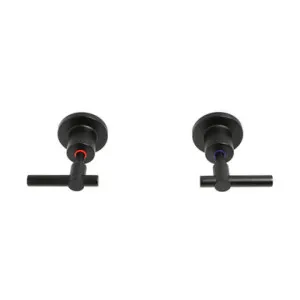 Alpha Lever Handle Wall Top Assemblies Lf In Black By Raymor by Raymor, a Bathroom Taps & Mixers for sale on Style Sourcebook