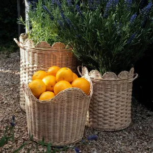 Set of 2 Rattan Festonne Baskets by Florabelle Living, a Laundry Bags & Baskets for sale on Style Sourcebook
