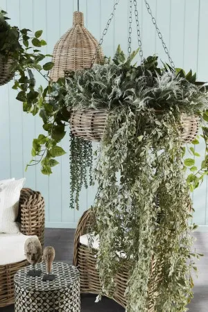 Elda Rattan Hanging Basket Large Natural by Florabelle Living, a Plants for sale on Style Sourcebook
