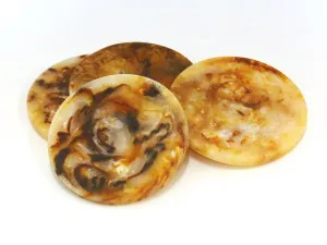 S/4 Dino Resin Coasters Tortoise by Robert Mark, a Tableware for sale on Style Sourcebook