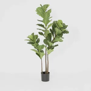 Artificial Fiddle Leaf Tree 1.6m by Florabelle Living, a Plants for sale on Style Sourcebook
