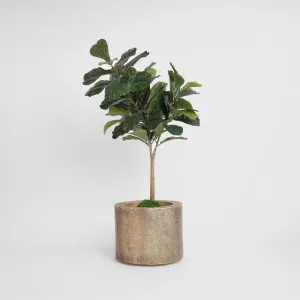 Artifical Fiddle Leaf Tree Real Touch 1.32m by Florabelle Living, a Plants for sale on Style Sourcebook