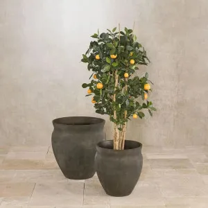 Artificial Golden Orange Tree 1.15m by Florabelle Living, a Plants for sale on Style Sourcebook