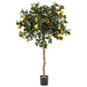 Artificial Golden Orange Tree 1.2m by Florabelle Living, a Plants for sale on Style Sourcebook