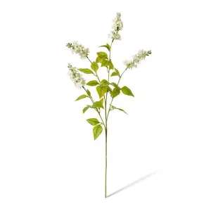 Larkspur Spray - 5 x 10 x 62cm by Elme Living, a Plants for sale on Style Sourcebook