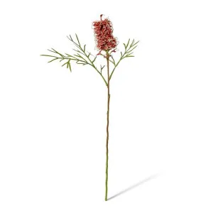 Grevillia Flower Sm Stem - 30 x 15 x 76cm by Elme Living, a Plants for sale on Style Sourcebook