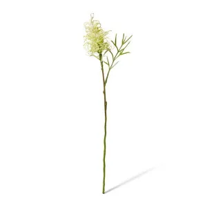 Grevillia Flower Lg Stem - 12 x 12 x 64cm by Elme Living, a Plants for sale on Style Sourcebook