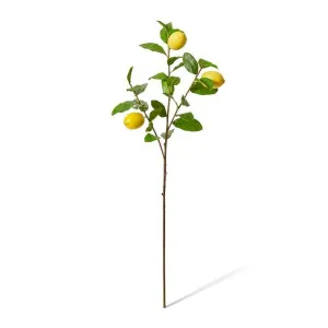 Lemon Spray - 40 x 22 x 102cm by Elme Living, a Plants for sale on Style Sourcebook
