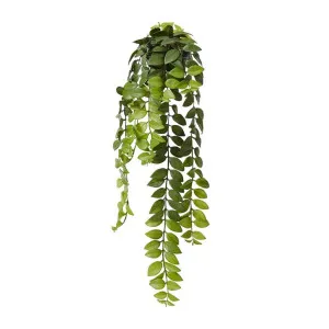 Honey Locust Hanging Plant Green 20x20x86cm by Elme Living, a Plants for sale on Style Sourcebook