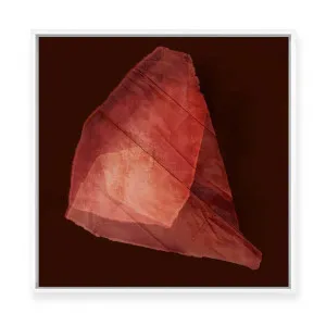 Crimson Folded Abstract Form | Framed Canvas by ARTHOUSEco, a Painted Canvases for sale on Style Sourcebook