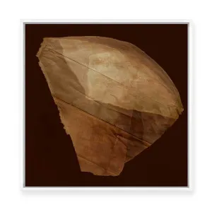 Fragmented Earth I | Framed Canvas by ARTHOUSEco, a Painted Canvases for sale on Style Sourcebook