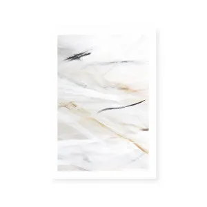 Goose Feathers II by ARTHOUSEco, a Prints for sale on Style Sourcebook
