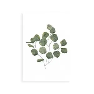 Eucalyptus Leaves by ARTHOUSEco Luxe, a Prints for sale on Style Sourcebook