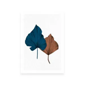 Blue Fan 1 by ARTHOUSEco Luxe, a Prints for sale on Style Sourcebook