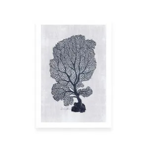 Sea Fan 1 | White by ARTHOUSEco Luxe, a Prints for sale on Style Sourcebook
