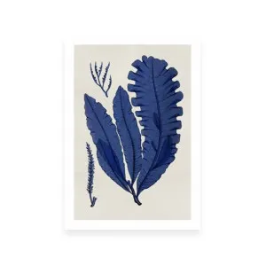 Sea Life Indigo IV by ARTHOUSEco Luxe, a Prints for sale on Style Sourcebook