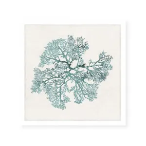 Teal Coral II by ARTHOUSEco Luxe, a Prints for sale on Style Sourcebook