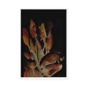 Midnight Coral | Framed Canvas by Dan Hobday, a Painted Canvases for sale on Style Sourcebook