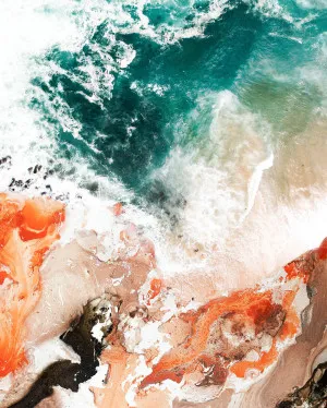 Life | Limited Edition Art Print | David Bottrell by David Bottrell, a Prints for sale on Style Sourcebook