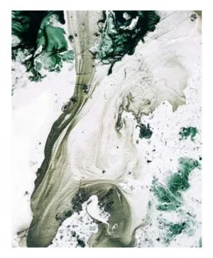 Bushland | Limited Edition Art Print | David Bottrell by David Bottrell, a Prints for sale on Style Sourcebook