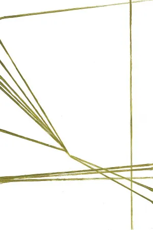 Lines Play by Design Fabrikken, a Prints for sale on Style Sourcebook