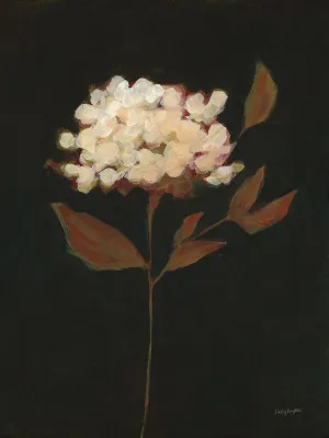 Fade into Fall I by Haley Knighten, a Prints for sale on Style Sourcebook