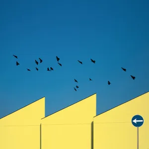 Urban Minimalism | Yellow by Inge Schuster, a Prints for sale on Style Sourcebook