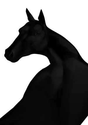 Horse | Fine Art Print | Peytil by PEYTIL, a Prints for sale on Style Sourcebook