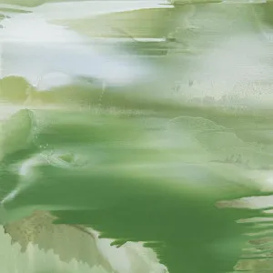 Evergreen | Fine Art Print | Scott Petrie by Scott Petrie, a Prints for sale on Style Sourcebook