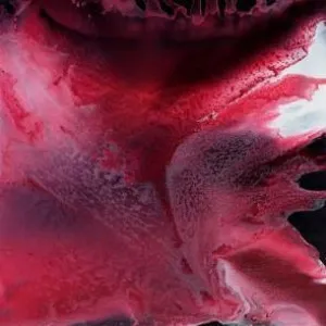 Blushing | Fine Art Print | Scott Petrie by Scott Petrie, a Prints for sale on Style Sourcebook