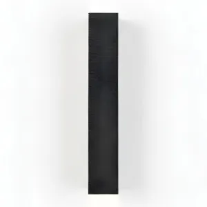 Telbix Ryland Aluminium Rectangle Up/Down Outdoor LED Wall Light Black by Telbix, a Outdoor Lighting for sale on Style Sourcebook
