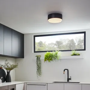 Hinkley Cedric Small Flush Mount - Black by Hinkley, a Lighting for sale on Style Sourcebook