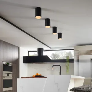 Hinkley Cedric Extra Small Flush Mount - Black by Hinkley, a Lighting for sale on Style Sourcebook