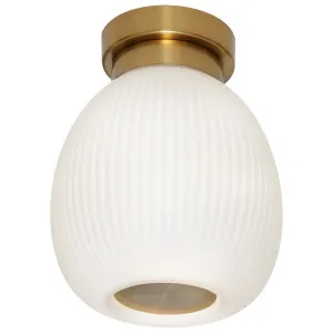 Cougar Garman DIY Opal Glass Batten Fix - Gold by Cougar, a Lighting for sale on Style Sourcebook