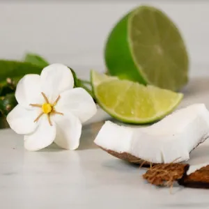 Finger Lime & Coconut Reed Diffuser - Canningvale by Canningvale, a Home Fragrances for sale on Style Sourcebook