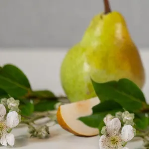 French Pear Reed Diffuser - Linen - Canningvale by Canningvale, a Home Fragrances for sale on Style Sourcebook