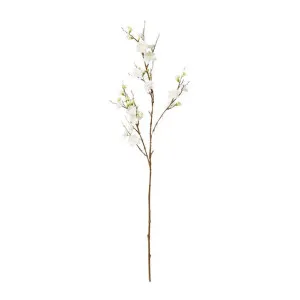 Blossom Plum Spray - 28 x 24 x 86cm by James Lane, a Plants for sale on Style Sourcebook