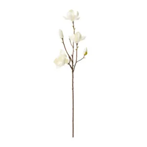 Magnolia Tree Spray - 72cm by James Lane, a Plants for sale on Style Sourcebook